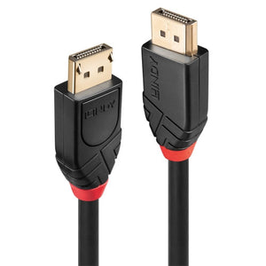 Lindy 10m Active DisplayPort 1.2 Cable, two black DisplayPort connector heads with gold plugs and red collars, shown upright