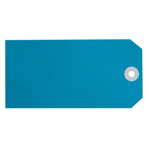 Avery 16120 Size 6 blue shipping tag 134 x 67mm showing large format tag with calm blue colour and reinforced metal eyelet, box of 1000 for colour-coded zone routing on heavy freight