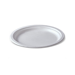 Round white sugarcane plate, 230mm across, shown at an angle with a flat centre and a raised rim