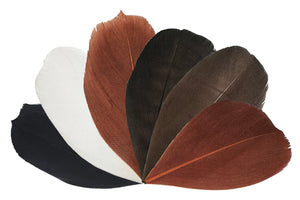 Trimmed Feathers Natural 20g White Black Brown Leaf Shaped Earthy Tones