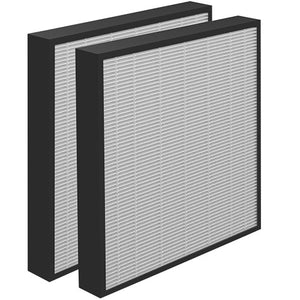 Two AeraMax Pro True HEPA filters standing one behind the other, white pleated media inside deep black frames