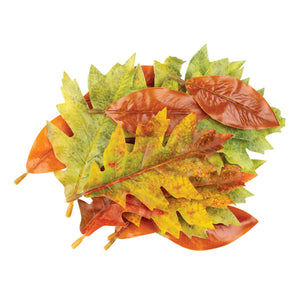 Zart Autumn Leaves Assorted Plastic Pack of 50 Printed Natural Colouring