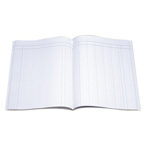 Collins 10208 Analysis Book Series A24 8 Money Column