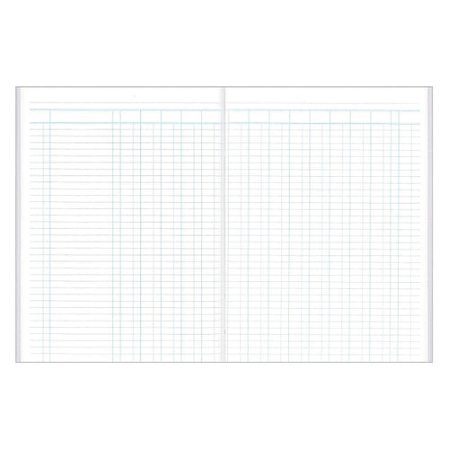 Collins 10214 Analysis Book Series A24 14 Money Column Green Cover