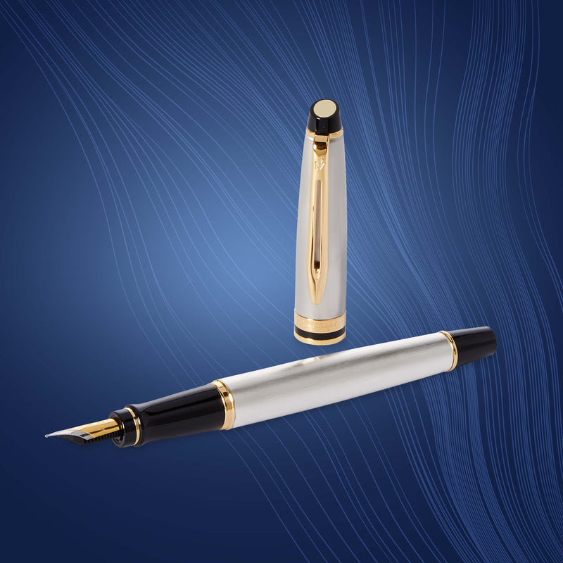 Waterman Expert Stainless Steel Gold Trim Fountain Pen in Box