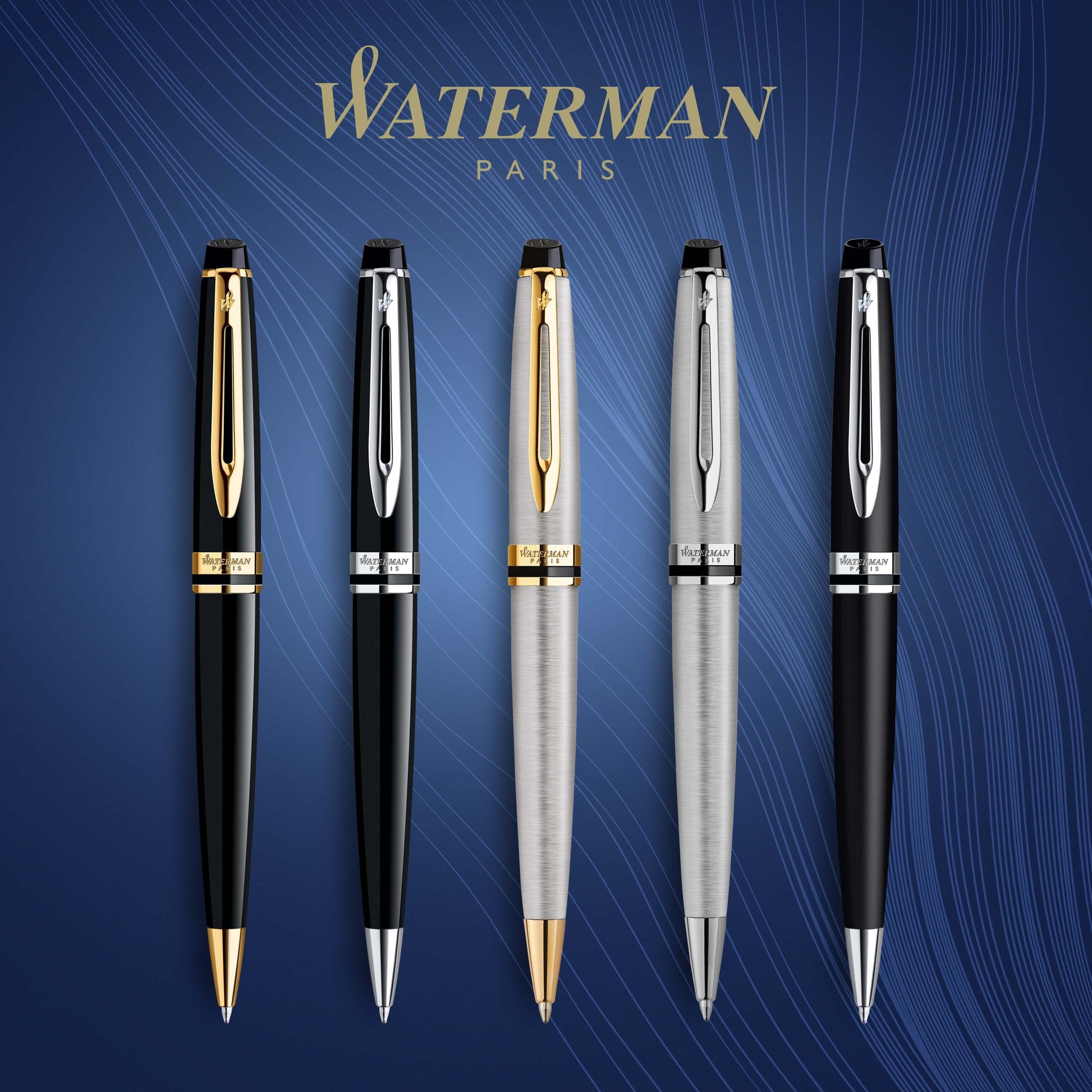 Waterman Expert Stainless Steel Gold Trim Ballpoint Pen in Box