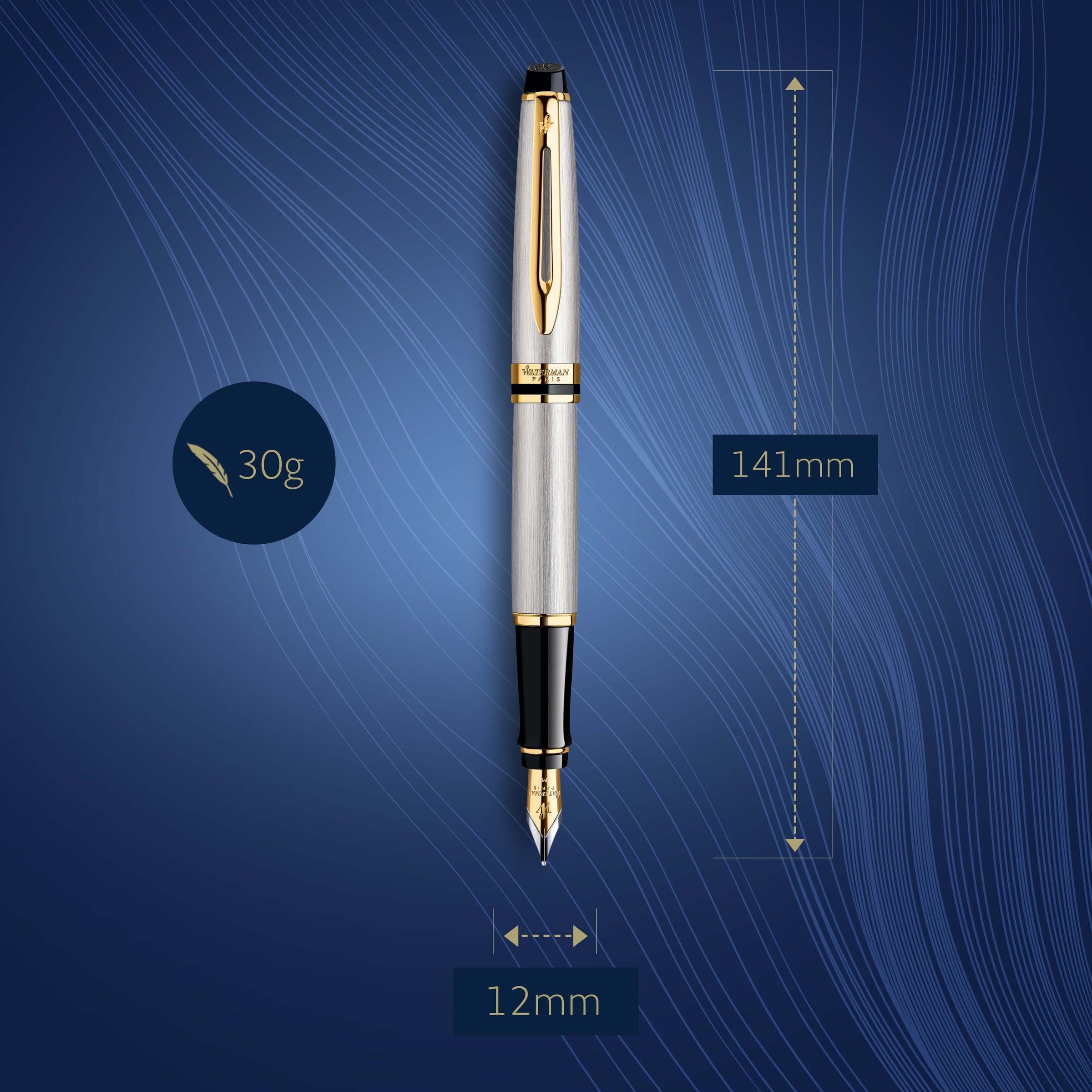 Waterman Expert Stainless Steel Gold Trim Fountain Pen in Box