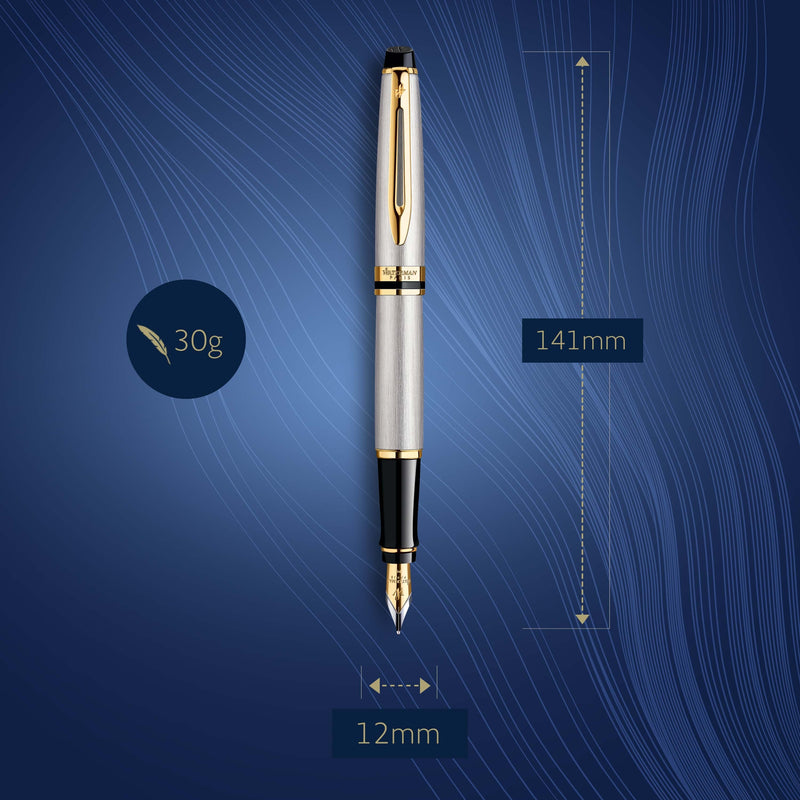 Waterman Expert Stainless Steel Gold Trim Fountain Pen in Box