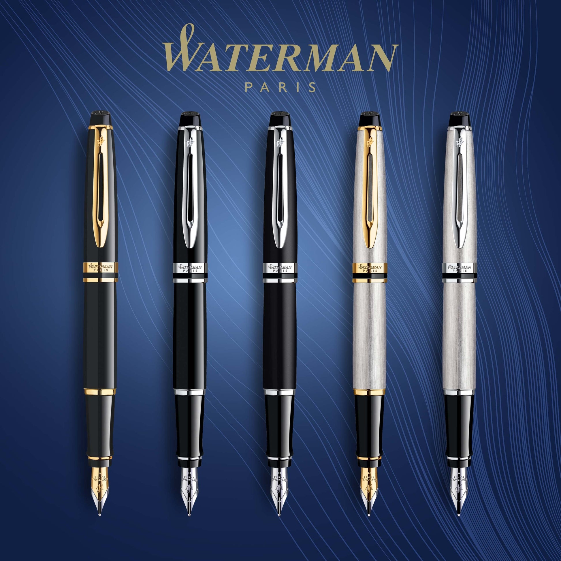 Waterman Expert Stainless Steel Gold Trim Fountain Pen in Box
