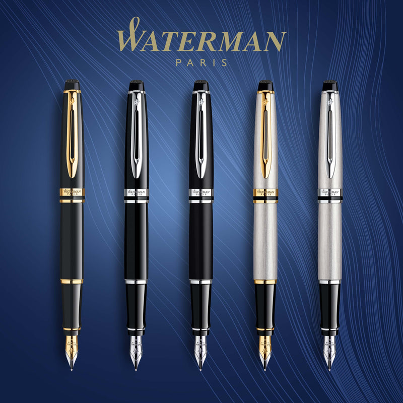 Waterman Expert Stainless Steel Gold Trim Fountain Pen in Box