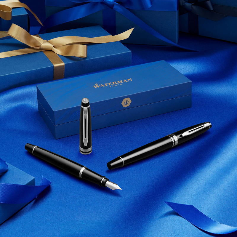 Waterman Expert Stainless Steel Gold Trim Fountain Pen in Box