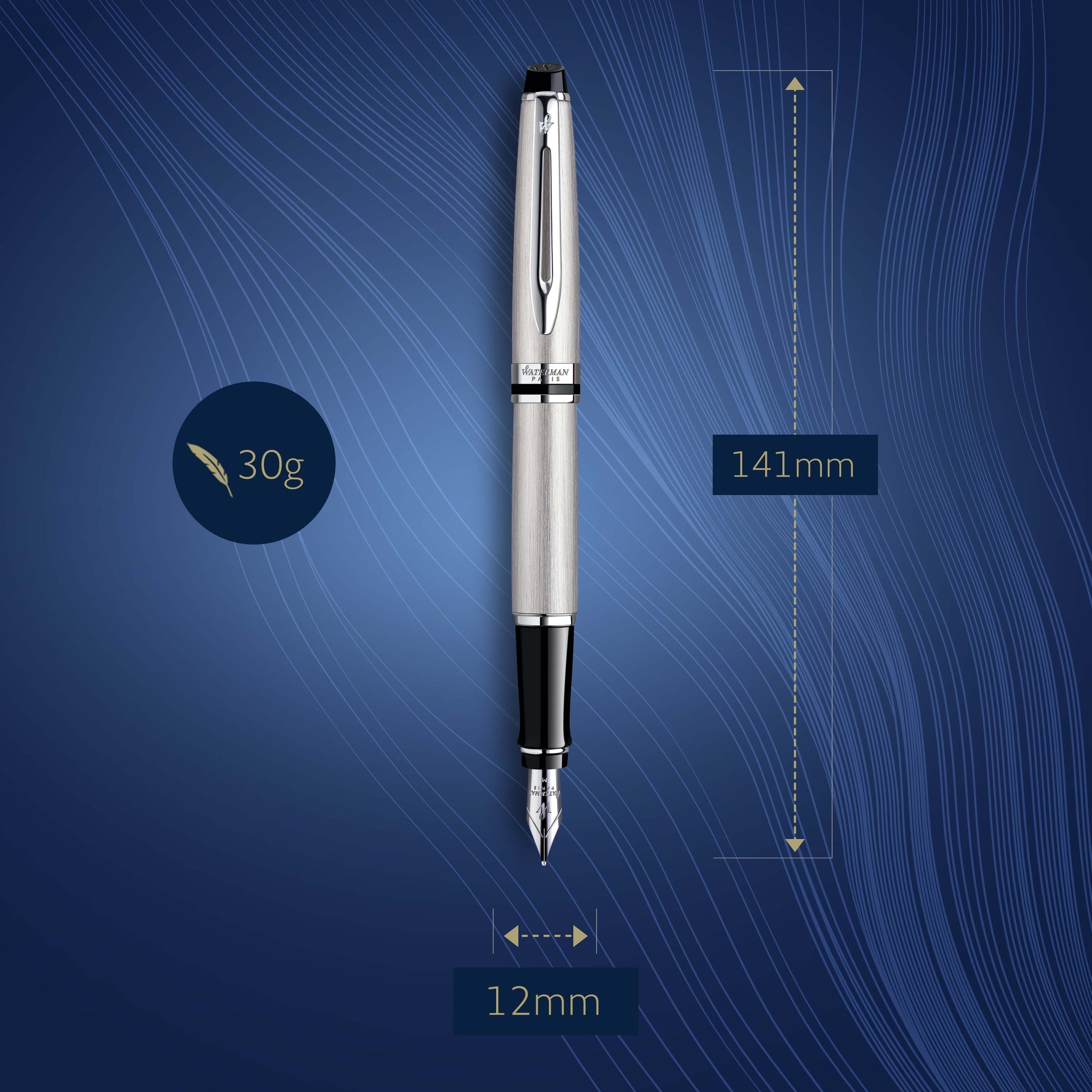 Waterman Expert Stainless Steel Chrome Trim Fountain Pen in Box