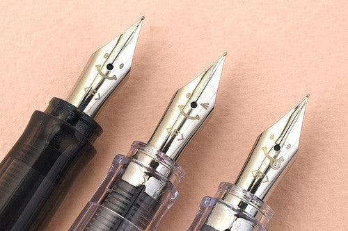 Pilot Kakuno BegreeN Fountain Pen Grey Grey Barrel Medium Nib