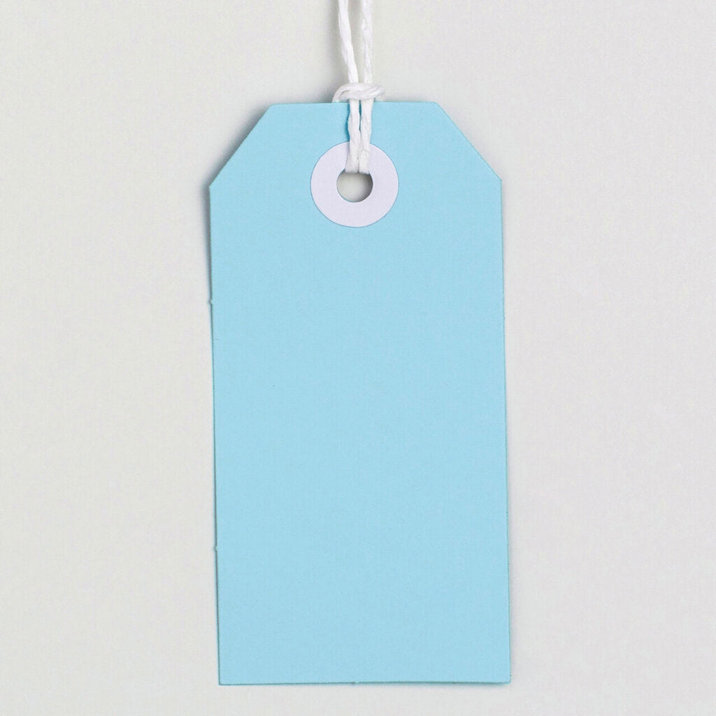 Avery Tag-It with String Size 3 Pastel Blue Pack 24 – view 2