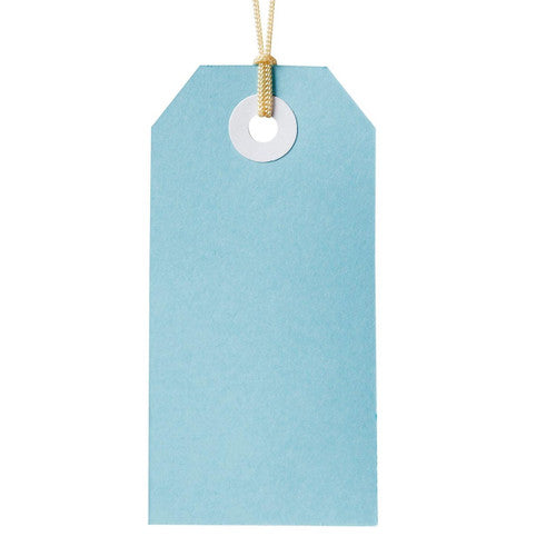 Avery Tag-It with String Size 3 Pastel Blue Pack 24