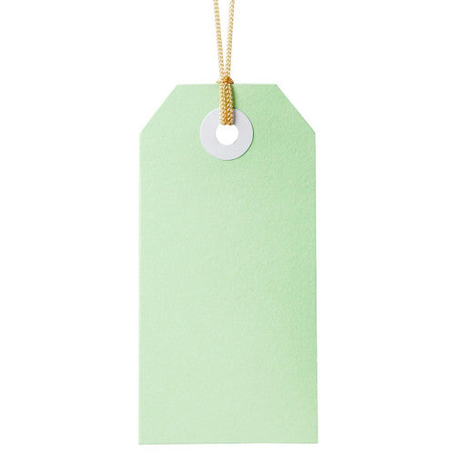 Avery Tag-It with String Size 3 Pastel Green Pack 24