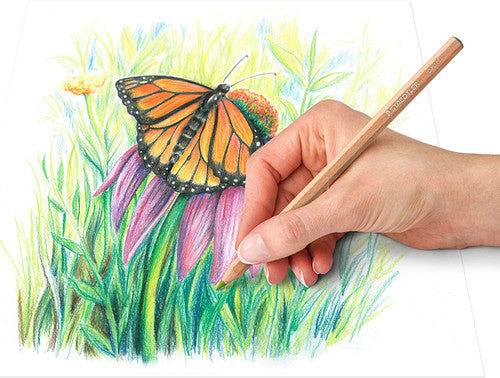 Staedtler 146P M12 Pastel Pencil Assorted Colours Tin of 12