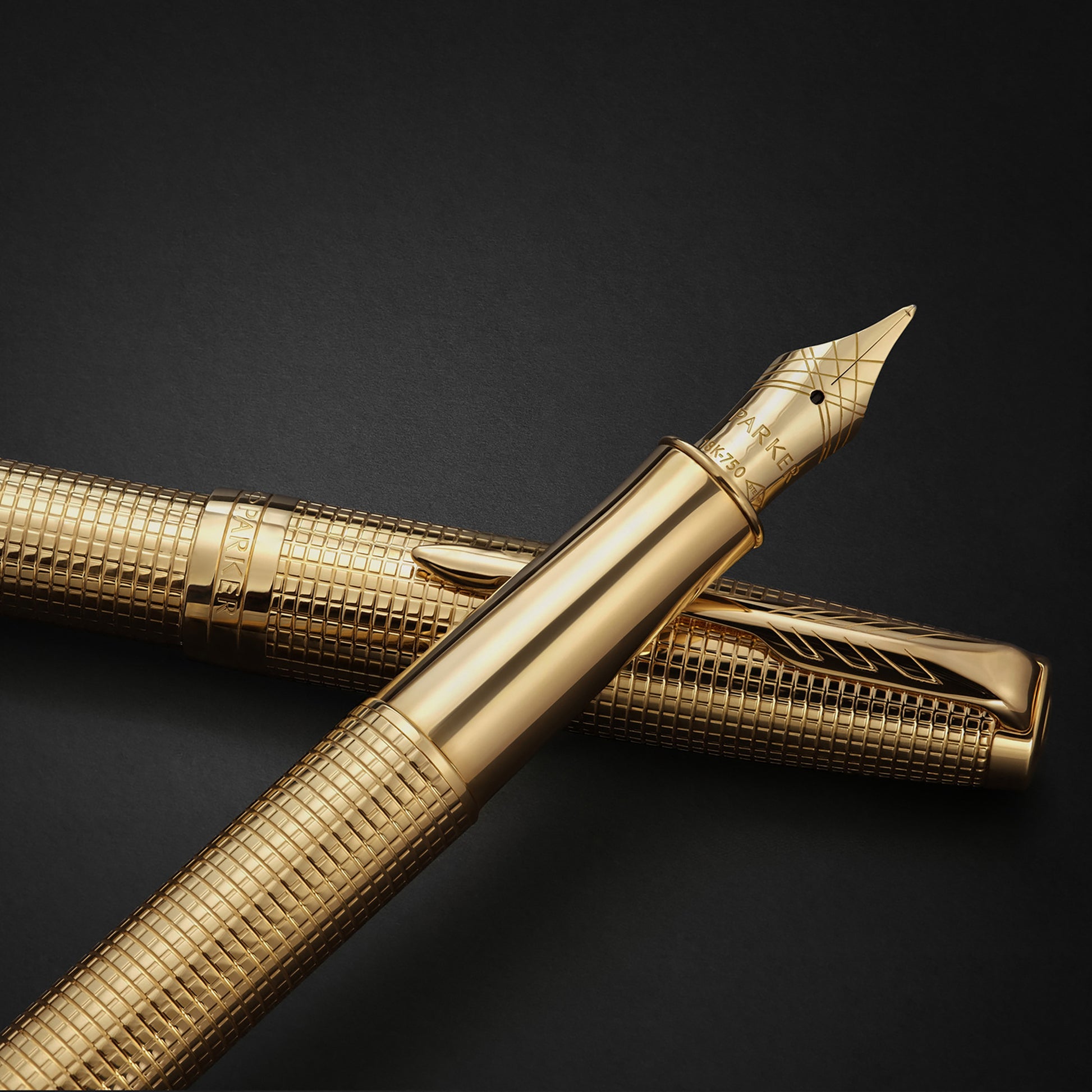 Parker Sonnet Cisele Fountain Pen Golden Gold Trim Fine Nib