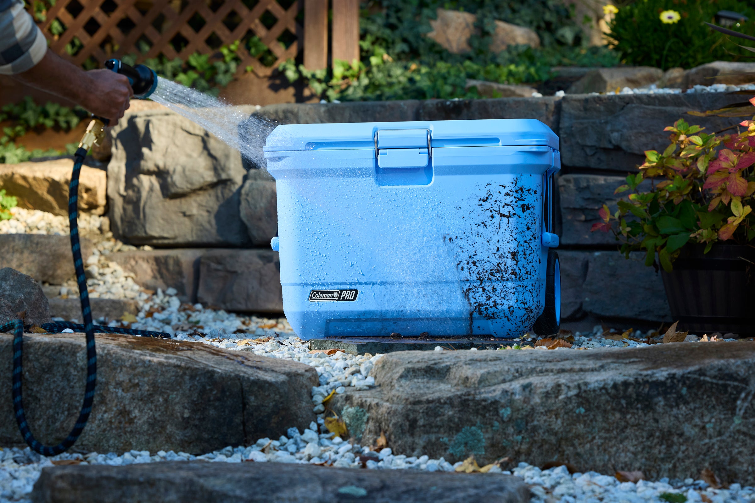 Coleman Pro 52L Hard Cooler Sky Blue
