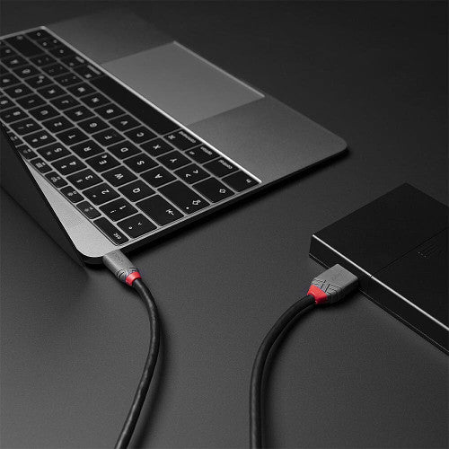 Lindy 0.5m USB 3.2 Type C to Micro-B Cable 5Gbps Anthra Line