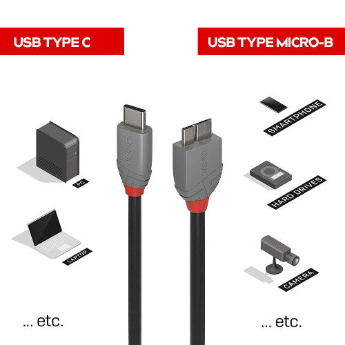 Lindy 3m USB 3.2 Type C to Micro-B Cable 5Gbps Anthra Line