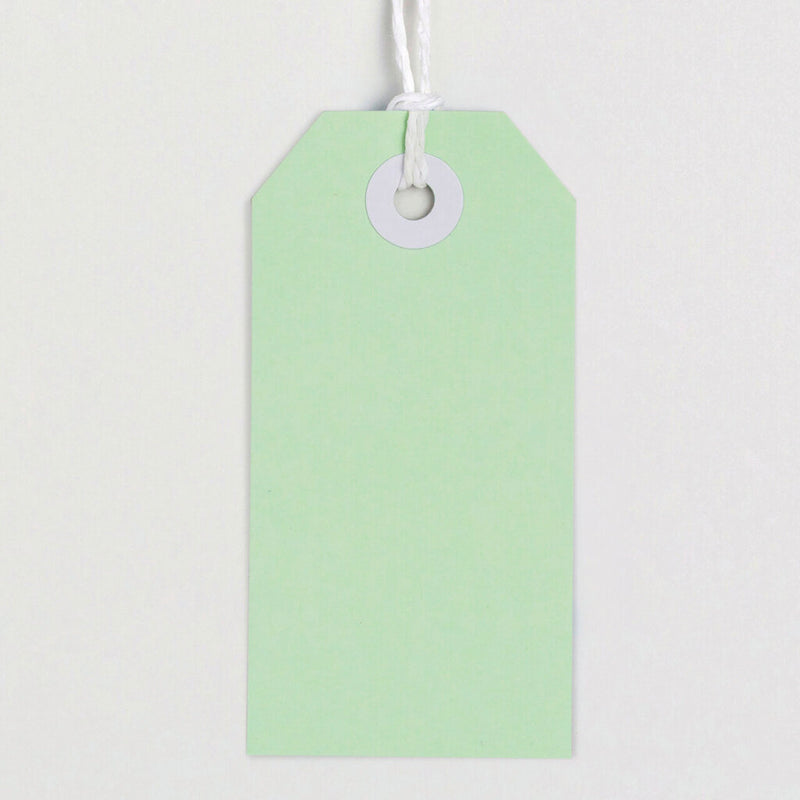 Avery Tag-It with String Size 3 Pastel Green Pack 24 – view 2