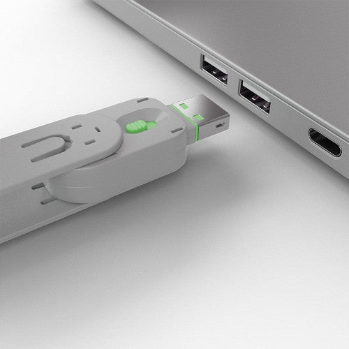 Lindy USB Type A Port Blocker 4 Pack + Key Green