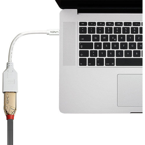 Lindy 20cm Mini DisplayPort to DisplayPort Adapter Cable
