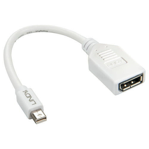 Lindy 20cm Mini DisplayPort to DisplayPort Adapter Cable