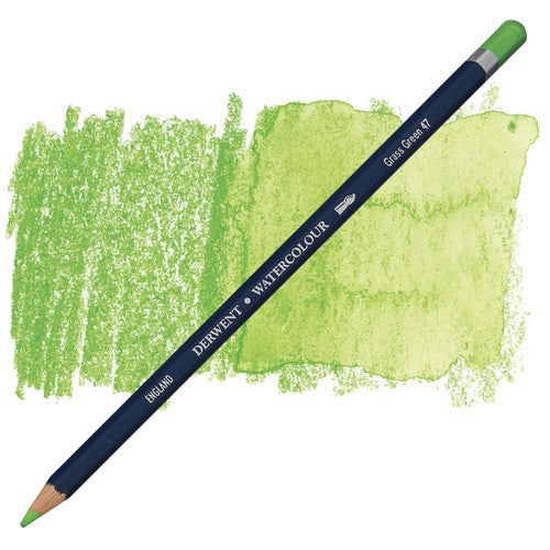 Derwent Watercolour Pencil Grass Green Box of 6