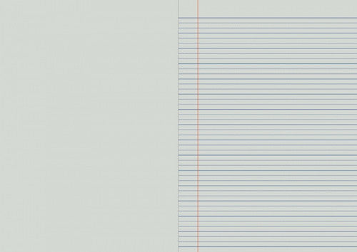 Writer Premium Project Book A4 48 Page Plain Plus 18mm Dotted Thirds Red Margin Sun Cover Pack 20 — open pages