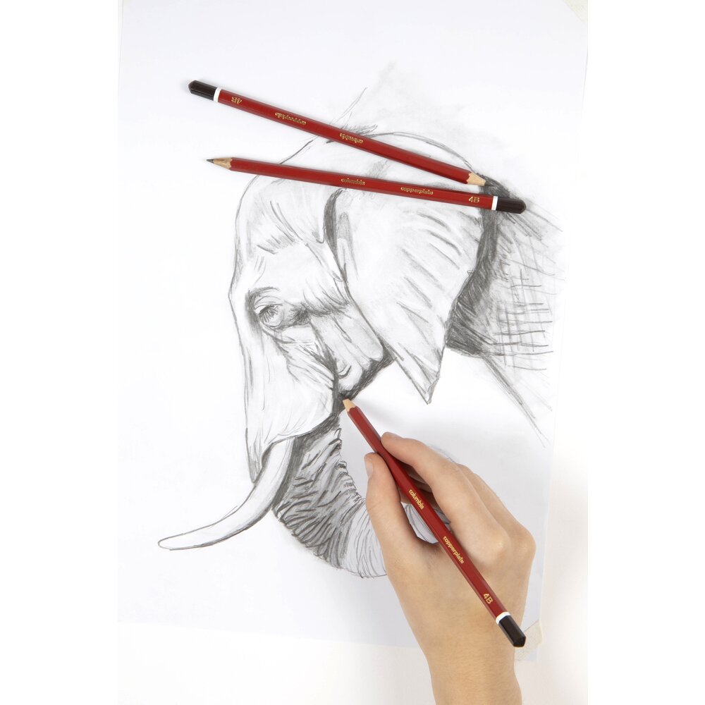 A hand sketching an elephant's head in pencil on white paper, with two red Columbia Copperplate pencils with dark brown caps lying across the upper part of the drawing