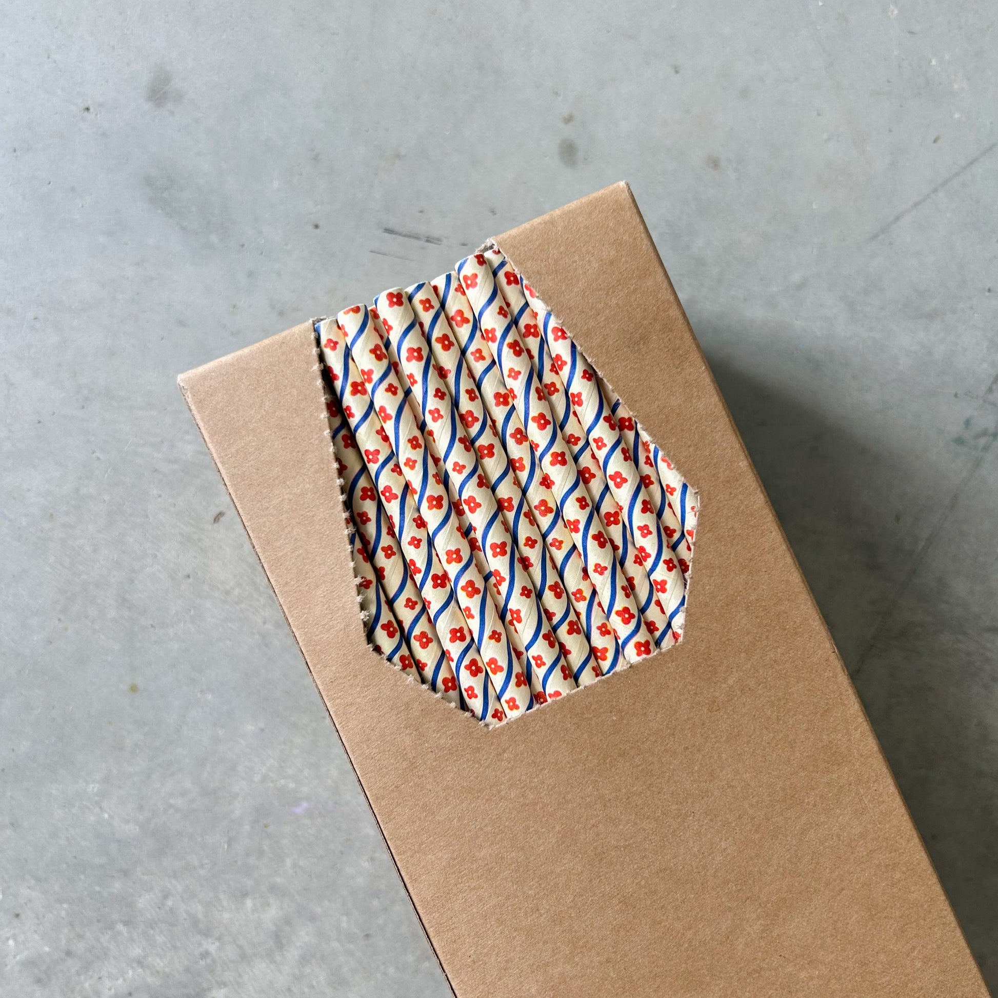 Creative Cafe Co 6mm paper straws carton box wholesale bulk