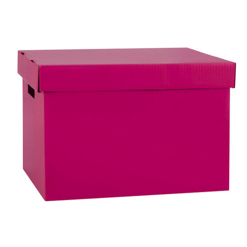 Marbig Coloured Archive Box Berry Pack of 10