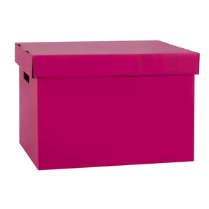 Marbig Coloured Archive Box Berry Pack of 10