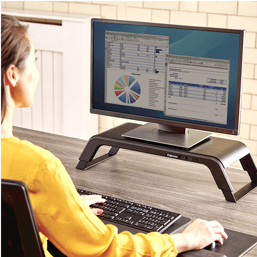 Fellowes Hana Executive Monitor Riser Support