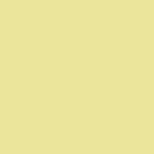 Colourful Days 8507 Colourboard 200gsm Project Size 510 x 640mm Cream Pack 20