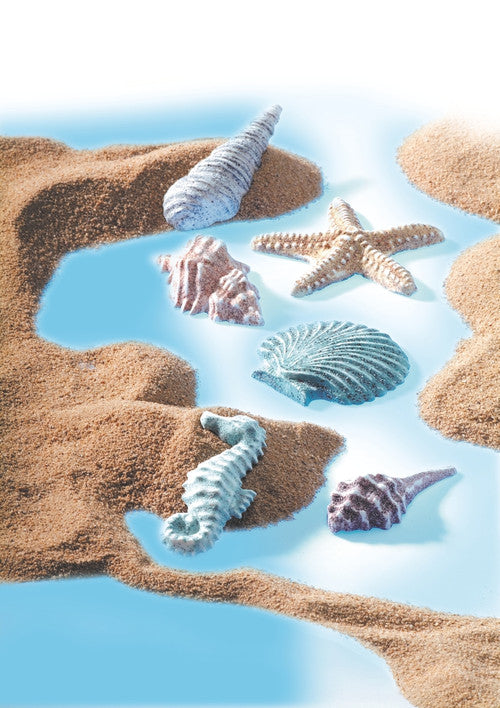 Fimo Clay Mould Sea Shells Set 6 x 6cm
