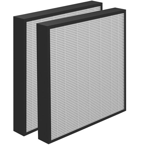 AeraMax Professional HEPA Filter with Antimicrobial Treatment Pack 2 for AM III and IV Air Purifiers