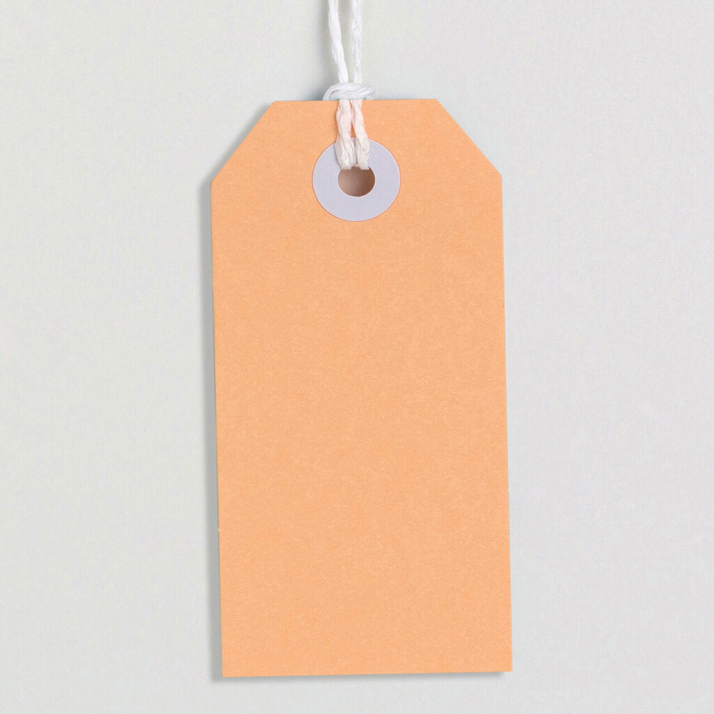 Avery Tag-It with String Size 3 Pastel Peach Pack 24 – view 2
