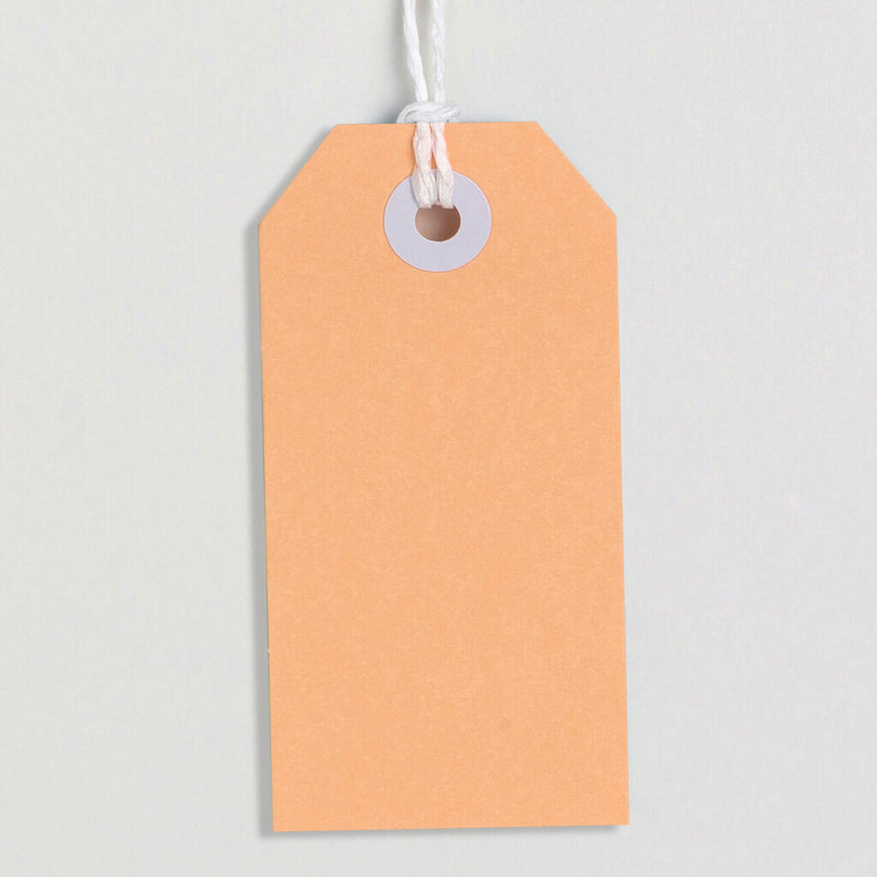 Avery Tag-It with String Size 3 Pastel Peach Pack 24 – view 2