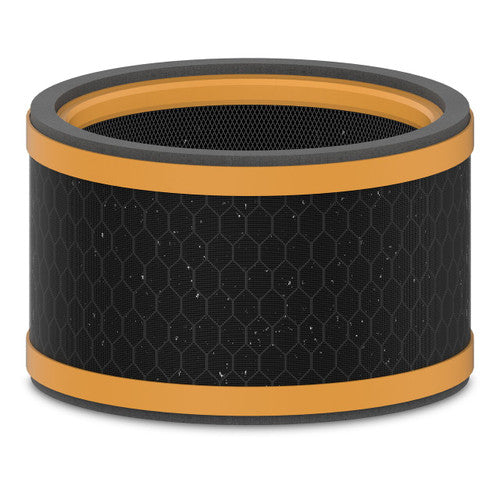 Trusens AFCZ1000SMK01 Z1000 Replacement Smoke and Odour Carbon Filter
