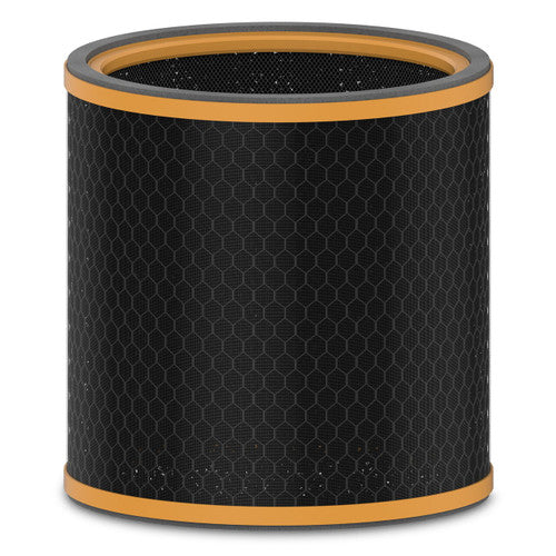 Trusens AFCZ3000SMK01 Z3000 Replacement Smoke and Odour Carbon Filter