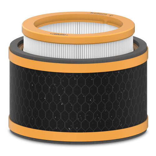 Trusens AFHZ1000SMK01 Z1000 Replacement Smoke and Odour HEPA Filter