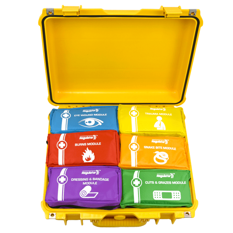 The open yellow case showing six coloured modules held in the base