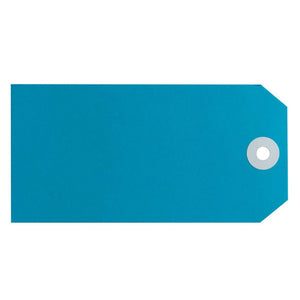 Avery 15120 Size 5 blue shipping tag 120 x 60mm showing large format tag with distinctive blue colour and reinforced metal eyelet, box of 1000 for colour-coded pallet and heavy freight routing