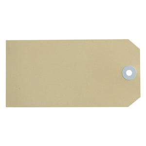Avery 16000 Size 6 buff shipping tag 134 x 67mm showing large format neutral buff tag with reinforced metal eyelet and dual-sided manilla board surface, box of 1000