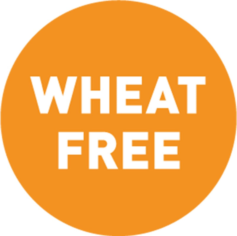 Single Avery Wheat Free allergy label shown flat and enlarged, a solid orange 24mm circle with WHEAT FREE printed in bold white capitals across two lines, with no border or additional markings