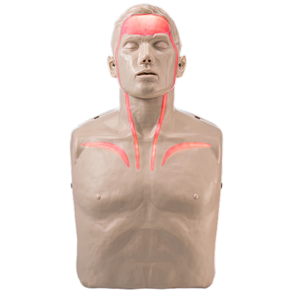 BRAYDEN Pulse CPR Manikin with Lights LED blood flow visual feedback for CPR training