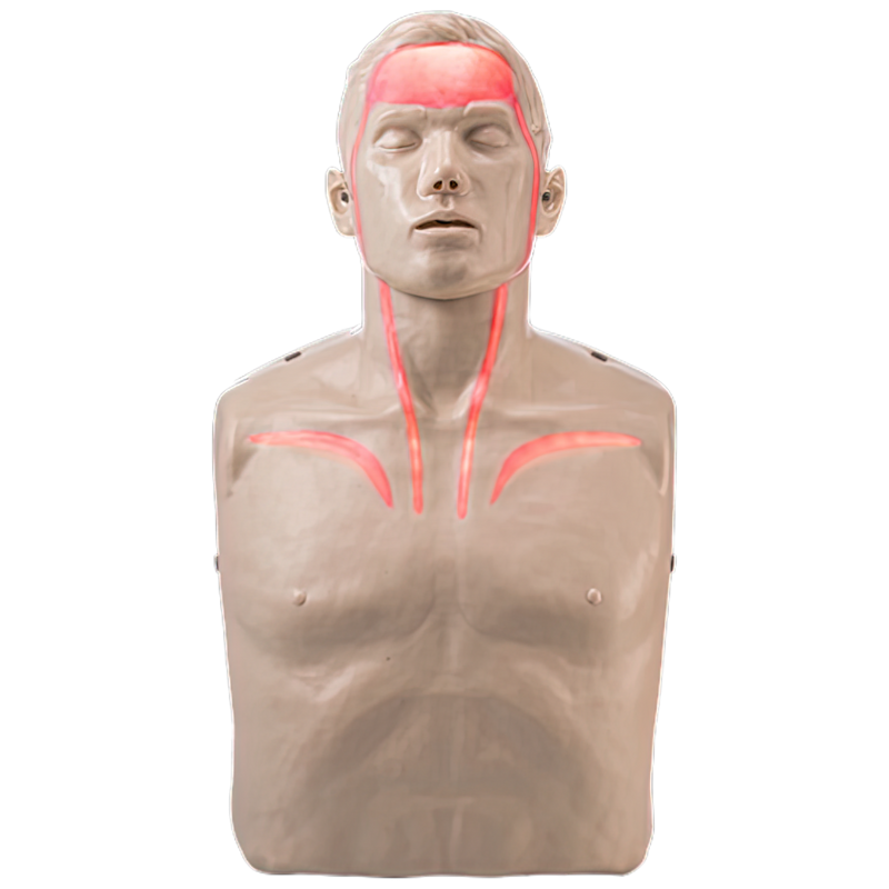 BRAYDEN Pulse CPR Manikin with Lights LED blood flow visual feedback for CPR training